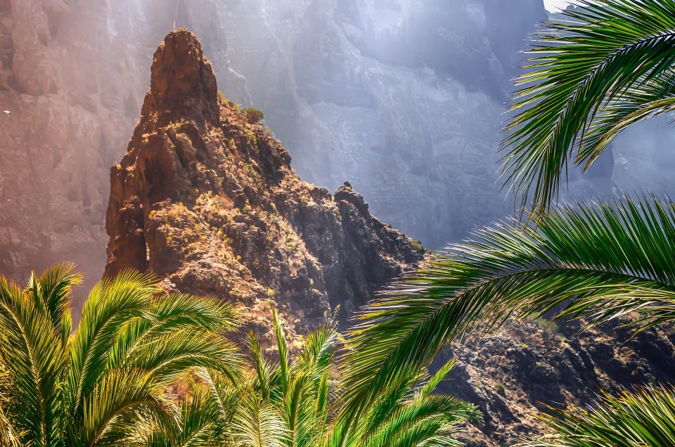 El espacio natural de Canarias, reserva de la biosfera
