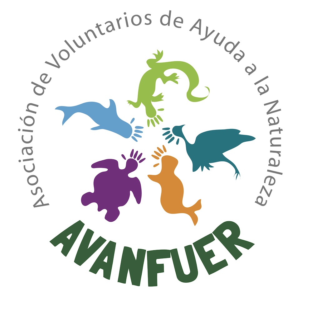 Logo AVANFUER